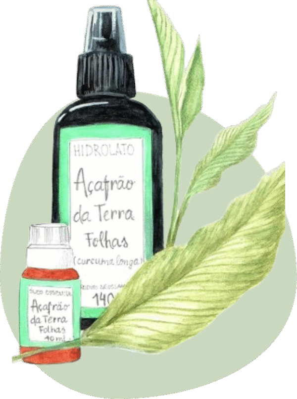 Açafrão da Terra Folhas