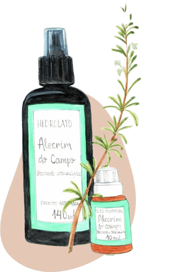 Alecrim do campo