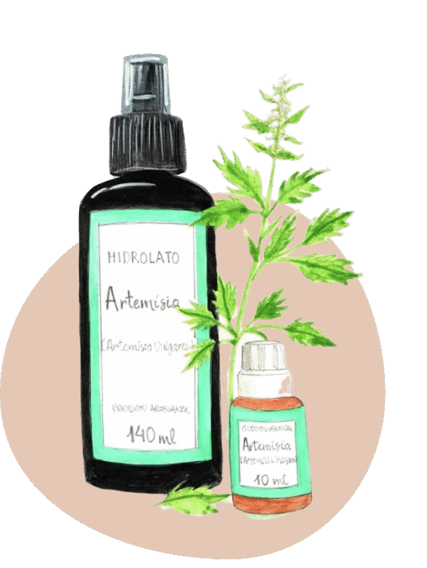 Artemisia