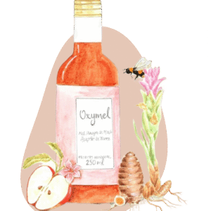 Oxymel Mel, Vinagre de Maçã e Açafrão - 250ml