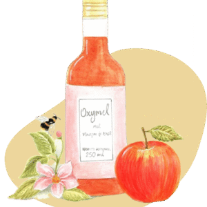 Oxymel Mel e Vinagre de Maçã - 250ml