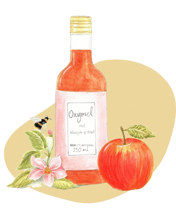 Oxymel Mel e Vinagre de Maçã - 250ml