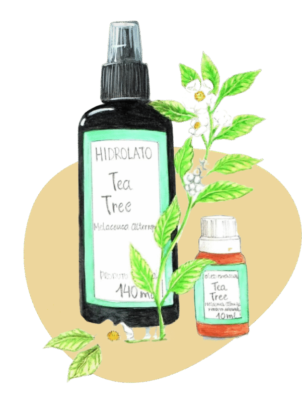 Tea tree