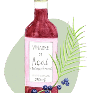Vinagre de Açaí - 250ml