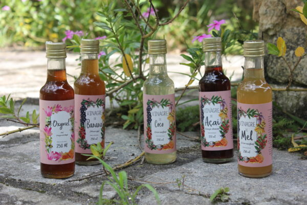 Vinagre de Coco - 250ml - Imagem 10