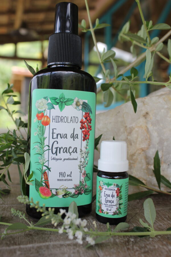 Erva da Graça - Imagem 3