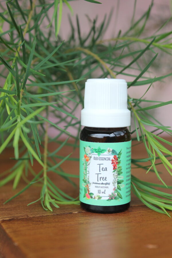 Tea tree - Imagem 3