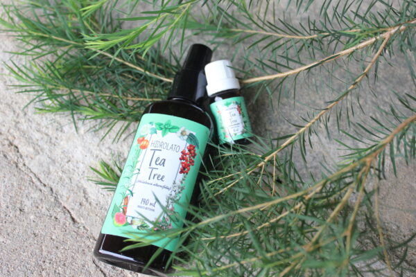 Tea tree - Imagem 5