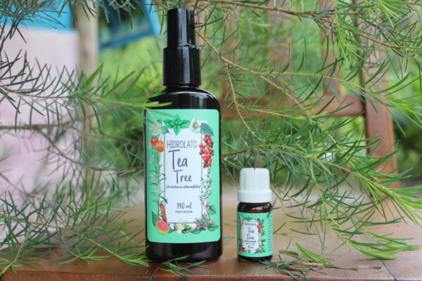 Tea tree - Imagem 7