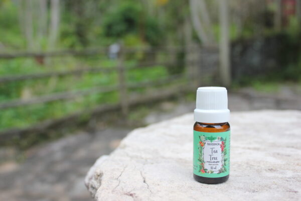 Tea tree - Imagem 10