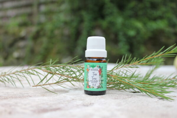 Tea tree - Imagem 12