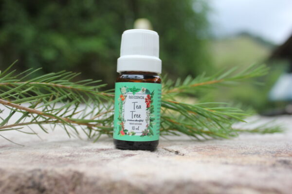 Tea tree - Imagem 13