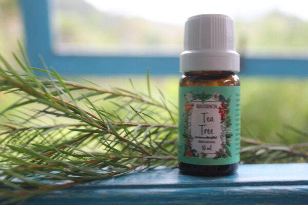 Tea tree - Imagem 15