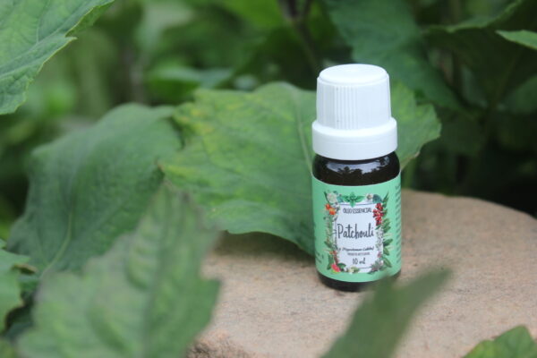 Patchouli - Imagem 3