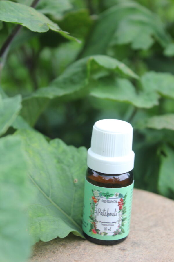 Patchouli - Imagem 4