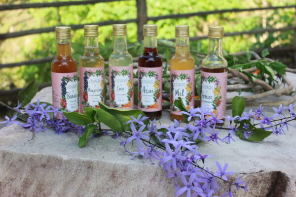 Vinagre de Coco - 250ml - Imagem 8
