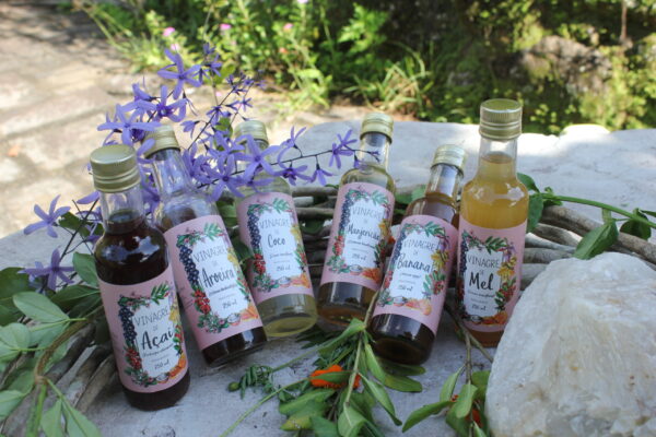 Vinagre de Coco - 250ml - Imagem 3