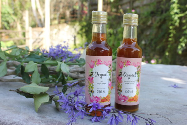 Oxymel Mel, Vinagre de Maçã e Açafrão - 250ml - Imagem 2