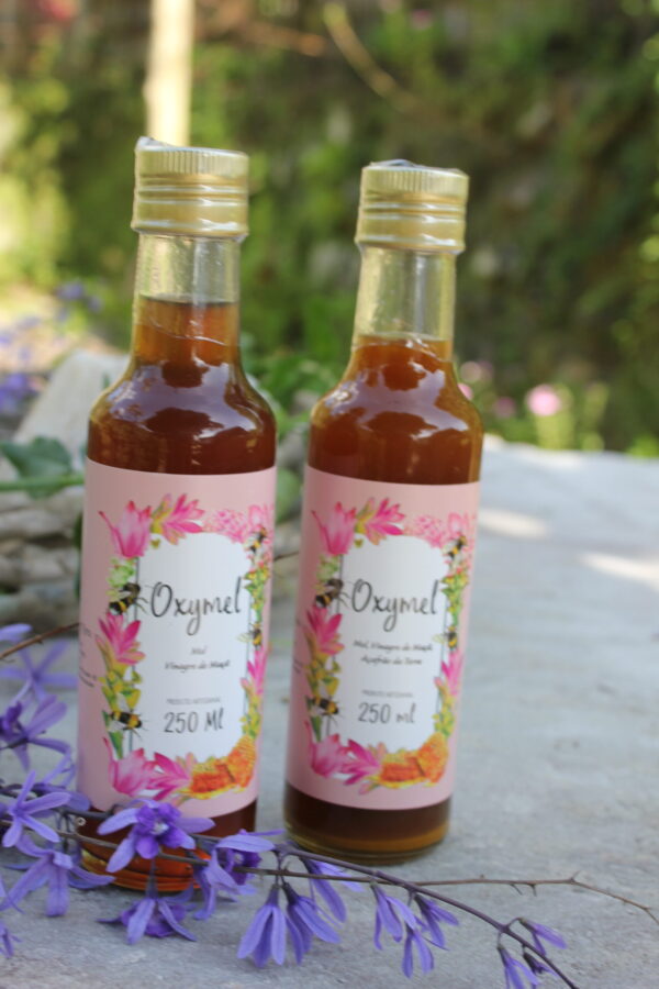 Oxymel Mel, Vinagre de Maçã e Açafrão - 250ml - Imagem 3