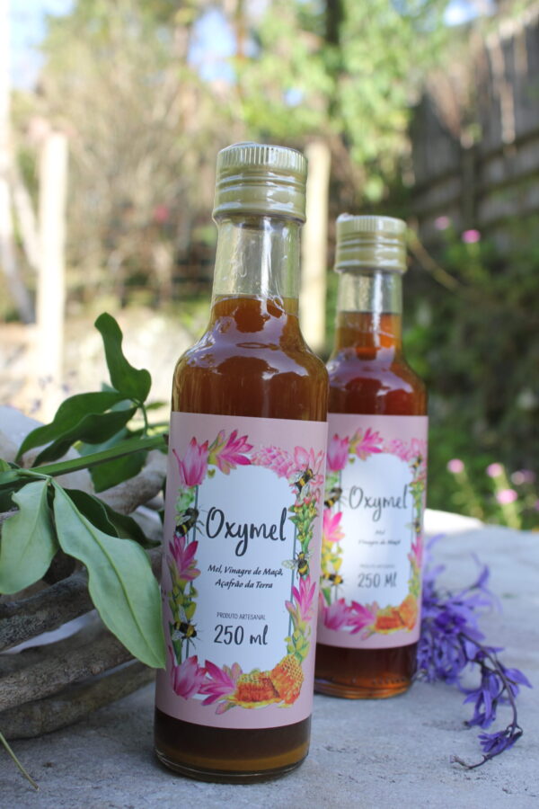 Oxymel Mel, Vinagre de Maçã e Açafrão - 250ml - Imagem 4